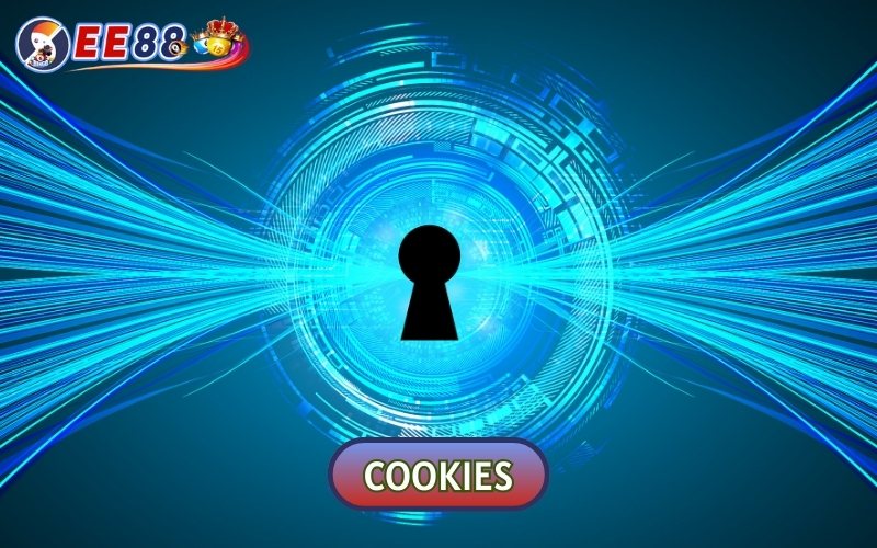 Cookies sẽ được hệ thống tự động thiết lập và lưu trữ trong hai tuần