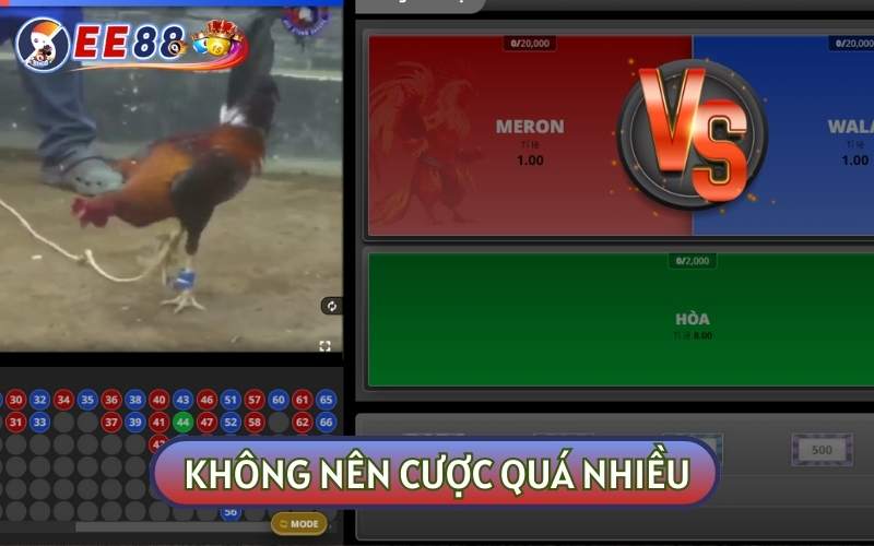 Bạn không nên cược quá nhiều vào các trận đấu mà hãy nghiên cứu thật kỹ lưỡng