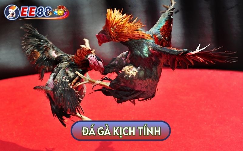 Nhắc đến kho game tại DOANH NGHIỆP CHÚNG TÔI không thể bỏ qua đá gà