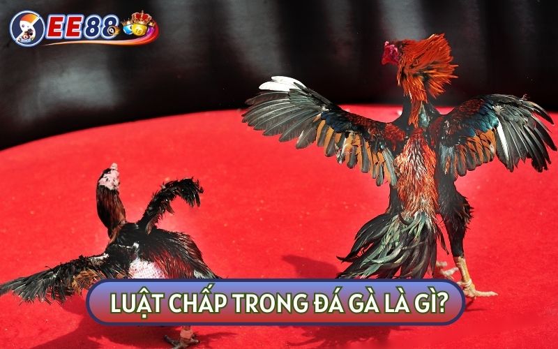 Luật chấp là những quy tắc đảm bảo tính công bằng giữa hai chiến kê